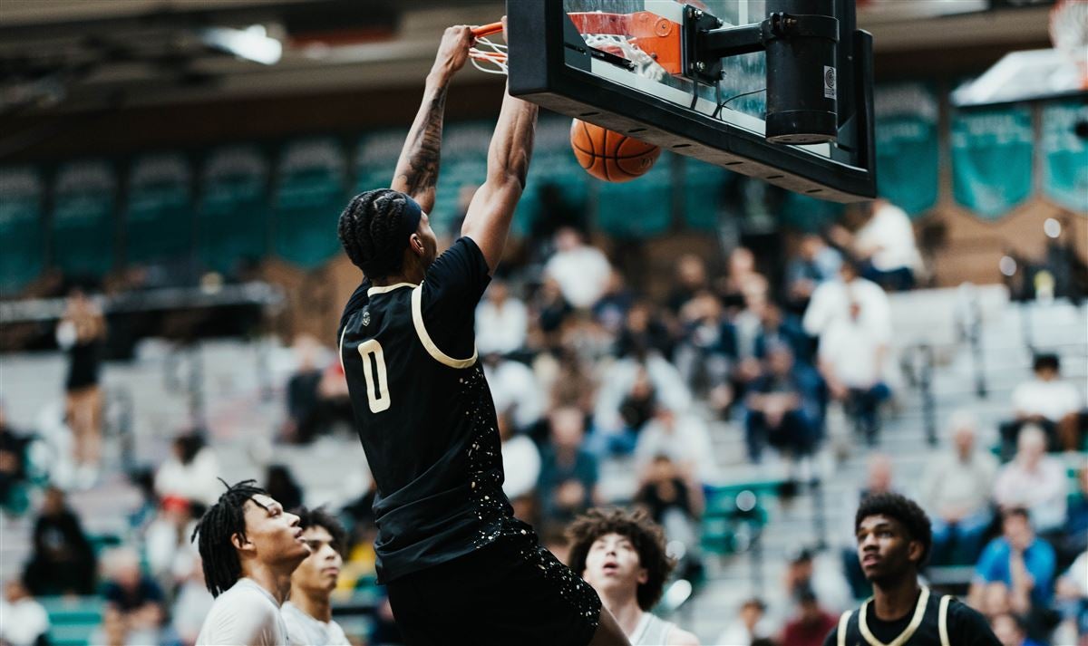 己判断这两 己判断这两